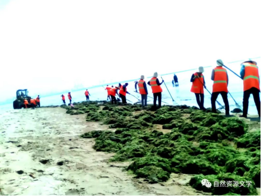 周習(xí)紀實文學(xué)《碧海金灘北戴河》出版發(fā)行