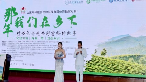 那年我們在鄉下-村支書講述共同富裕的故事在合肥舉行，軍神碳