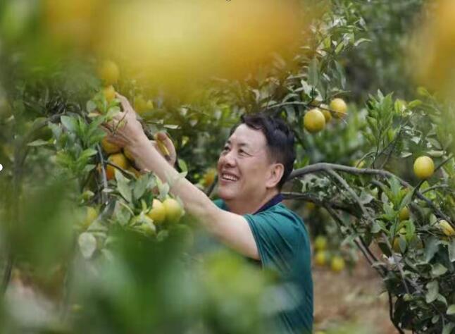 柴時鐘:今日泰雅學子 ?明日祖國棟梁 柴時鐘:今日泰雅學子 ?明日祖國棟梁