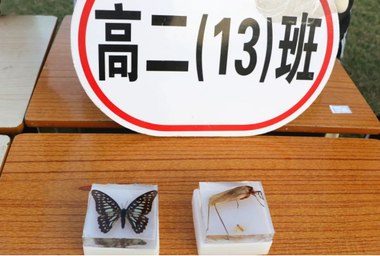 柴時鐘: 創新求進 科技強國 柴時鐘: 創新求進 科技強國