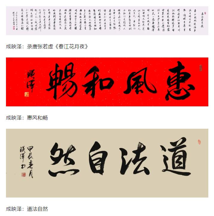 成映澤書(shū)法作品欣賞