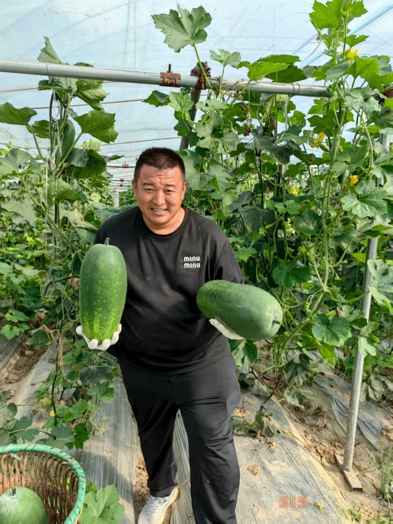 高原上的魯商引擎——林芝市魯商產業園的藏區協同發展紀實