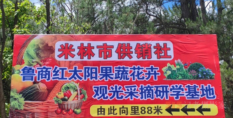 高原上的魯商引擎——林芝市魯商產業園的藏區協同發展紀實